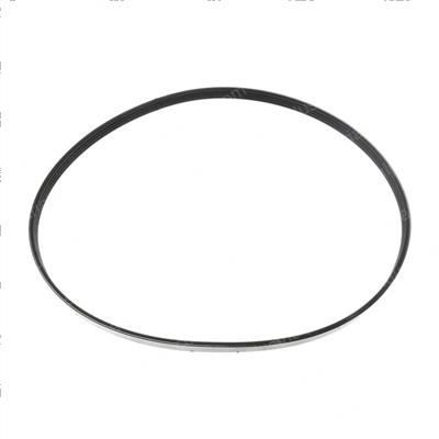 Picture of Belt - Serpentine