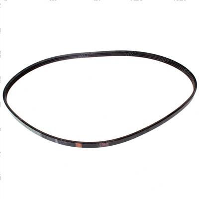 Picture of Belt - Serpentine