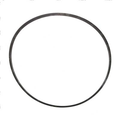 Picture of Belt - Serpentine