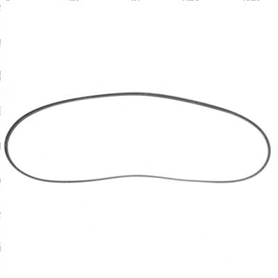 Picture of Belt - Serpentine