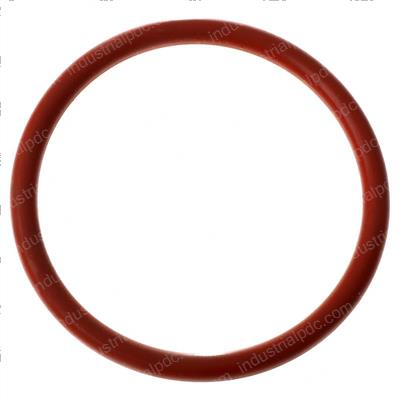 Picture of O-Ring