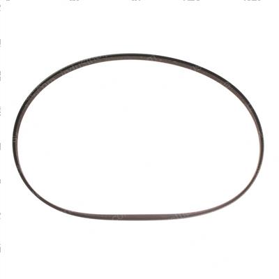 Picture of Belt - Serpentine