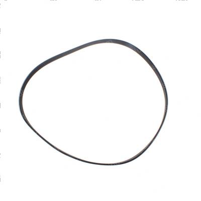 Picture of Belt - Serpentine