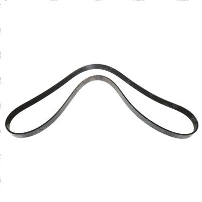 Picture of Belt - Serpentine