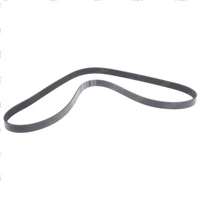 Picture of Belt - Serpentine