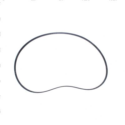 Picture of Belt - Serpentine