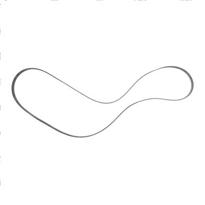 Picture of Belt - Serpentine