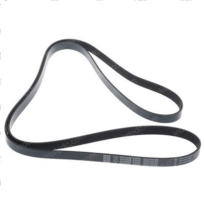 Picture of Belt - Serpentine