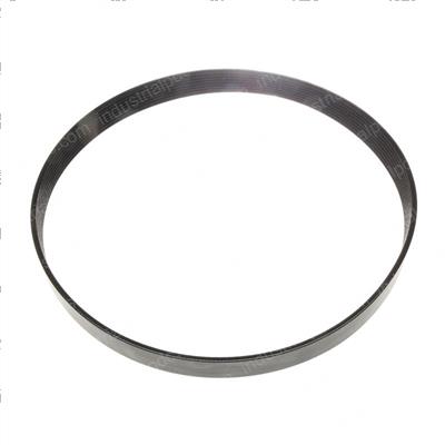 Picture of Belt - Serpentine