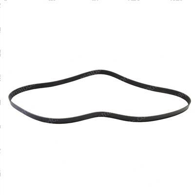 Picture of Belt - Serpentine