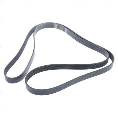 Picture of Belt - Serpentine