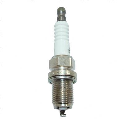 Picture of Plug - Spark