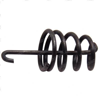 Picture of Spring - Hold Down