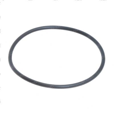 Picture of O-Ring