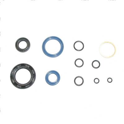 Picture of Seal Kit - Tm55