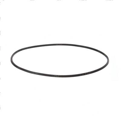 Picture of O-Ring