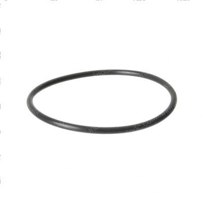 Picture of O-Ring