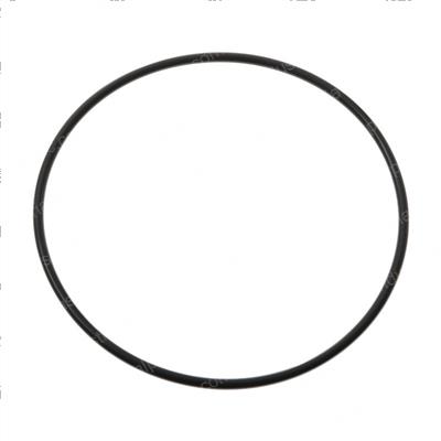Picture of O-Ring