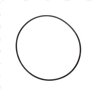 Picture of O-Ring