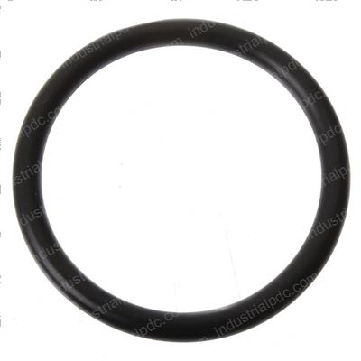 Picture of O-Ring