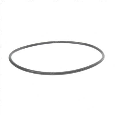 Picture of O-Ring