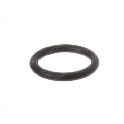 Picture of O-Ring