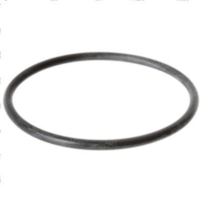 Picture of O-Ring