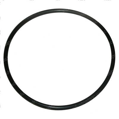 Picture of O-Ring