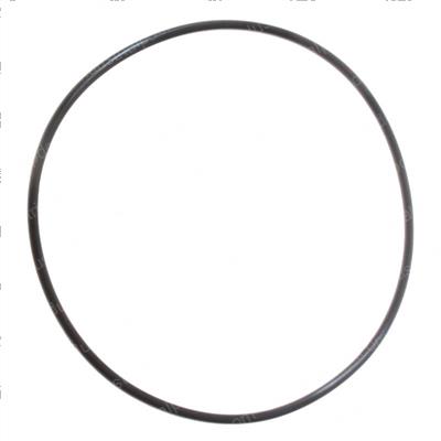 Picture of O-Ring