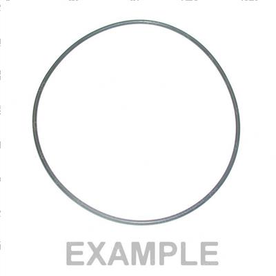 Picture of O-Ring