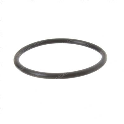 Picture of O-Ring
