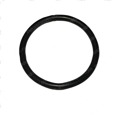 Picture of O-Ring