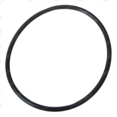 Picture of O-Ring