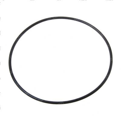 Picture of O-Ring