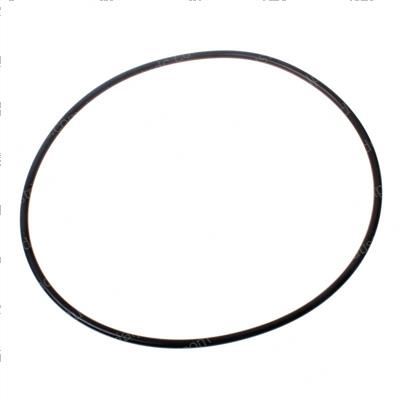 Picture of O-Ring