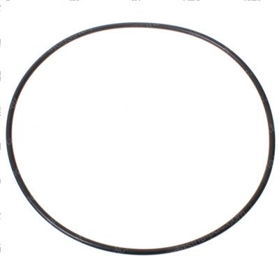 Picture of O-Ring