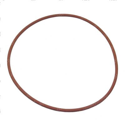 Picture of O-Ring