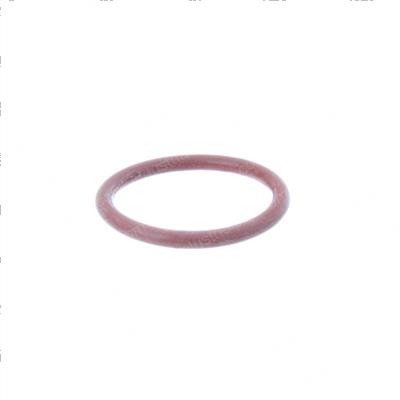 Picture of O-Ring