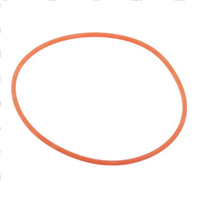 Picture of O-Ring
