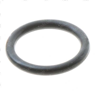 Picture of O Ring