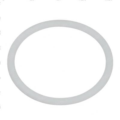 Picture of Backup Ring