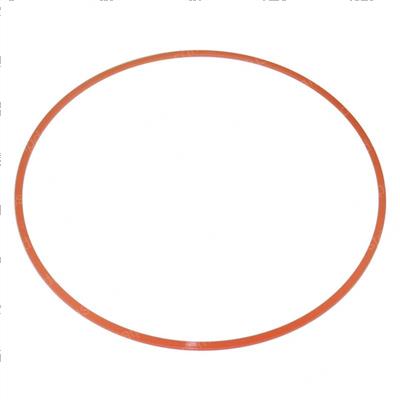 Picture of Back-Up Ring