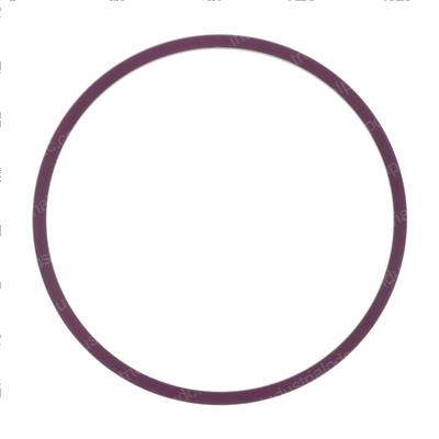 Picture of Ring - Support