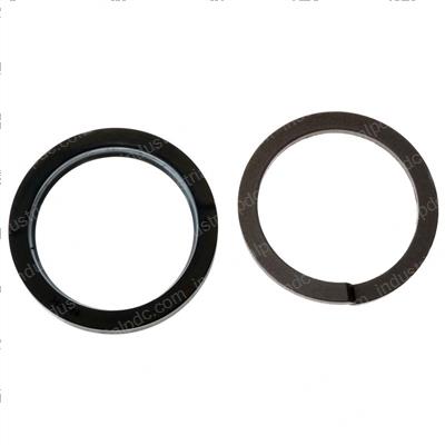 Picture of Seal - Ucup