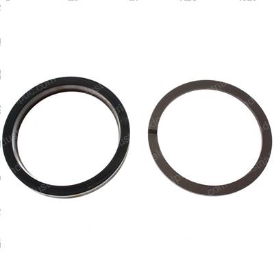 Picture of Seal - Ucup