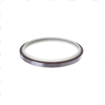 Picture of Seal - Dust