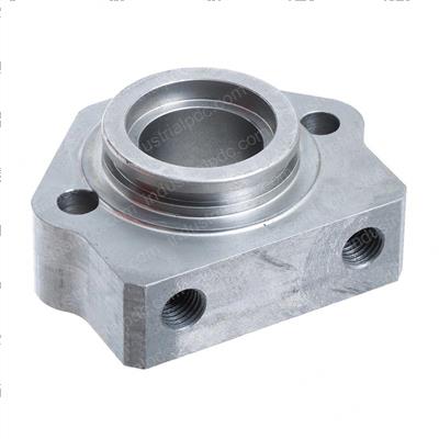 Picture of Cap-End Gland