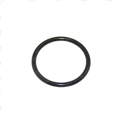 Picture of O-Ring