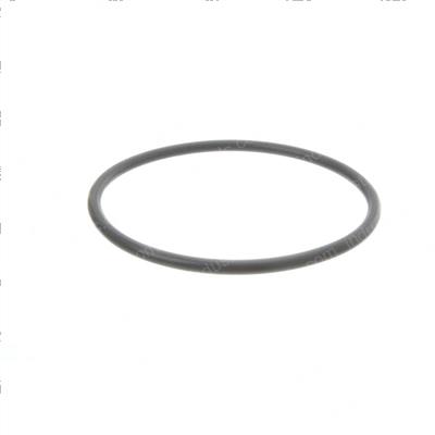 Picture of O-Ring