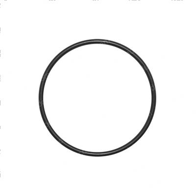 Picture of O-Ring